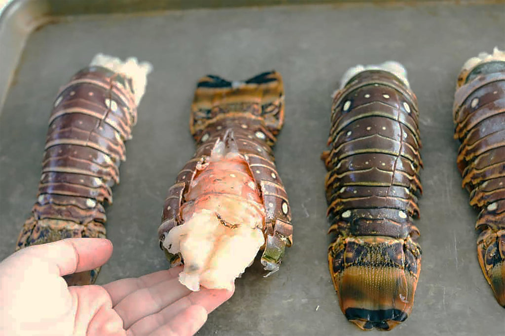 Generic Giant Gourmet Cold Water Lobster Tails(9oz -10oz) by Smart Food Plan, 8 Ounce (Pack of 2)