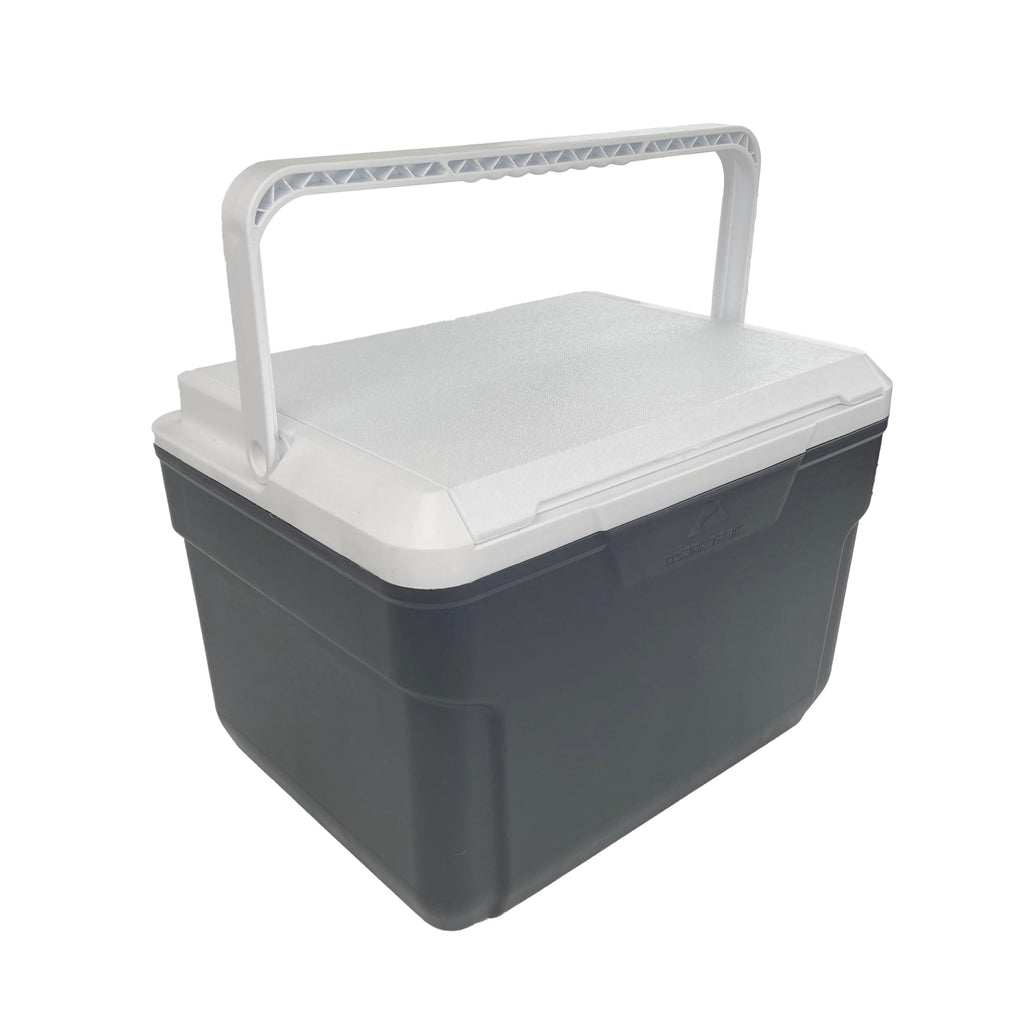 Generic Maine Lobster Now Maine Lobster Tails, 8-10 oz (2 Tails)